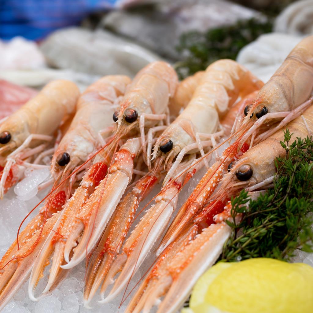 La Criée — Langoustines royales